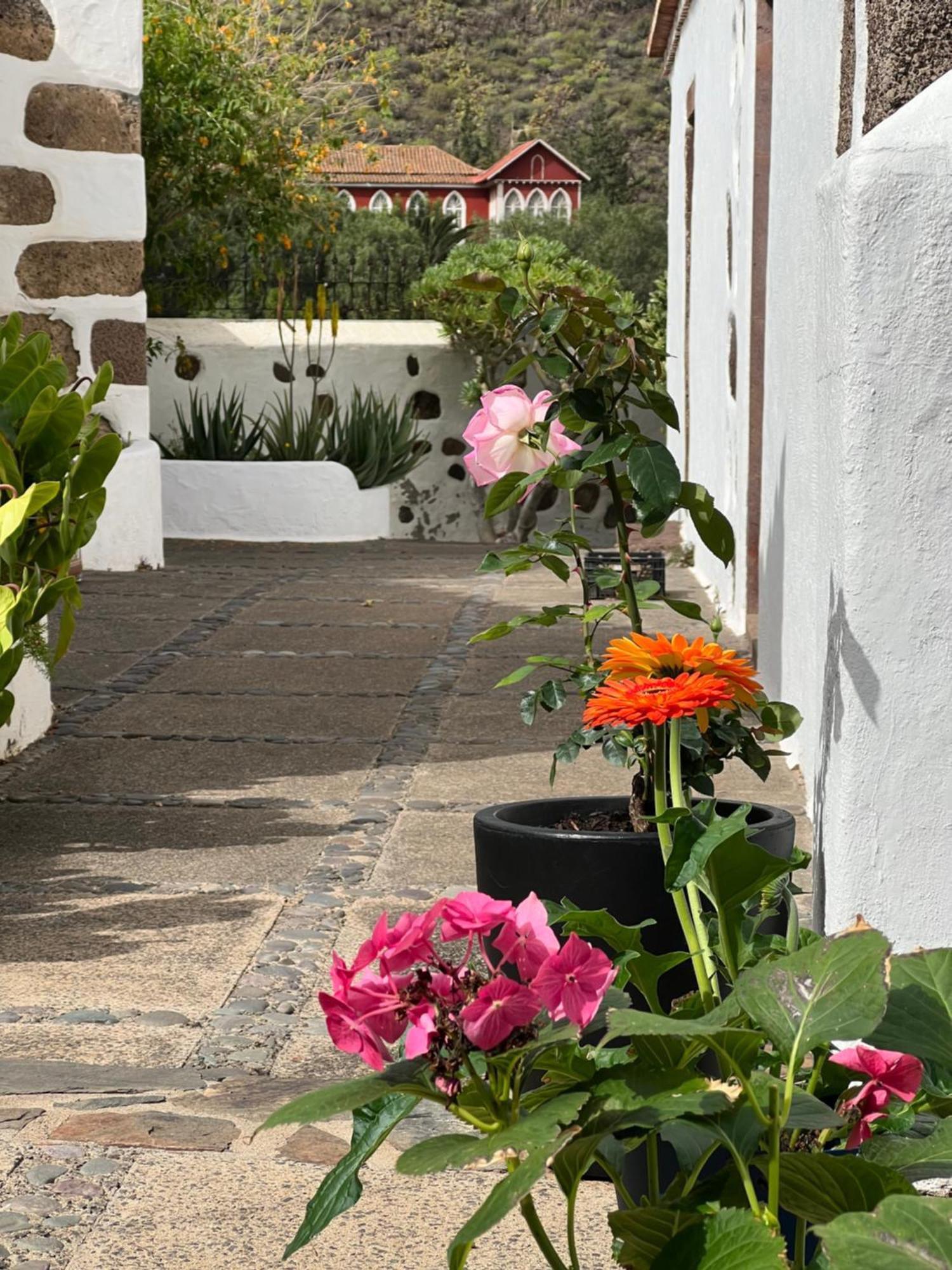Finca Exclusiv La Mareta Agaete  Ngoại thất bức ảnh