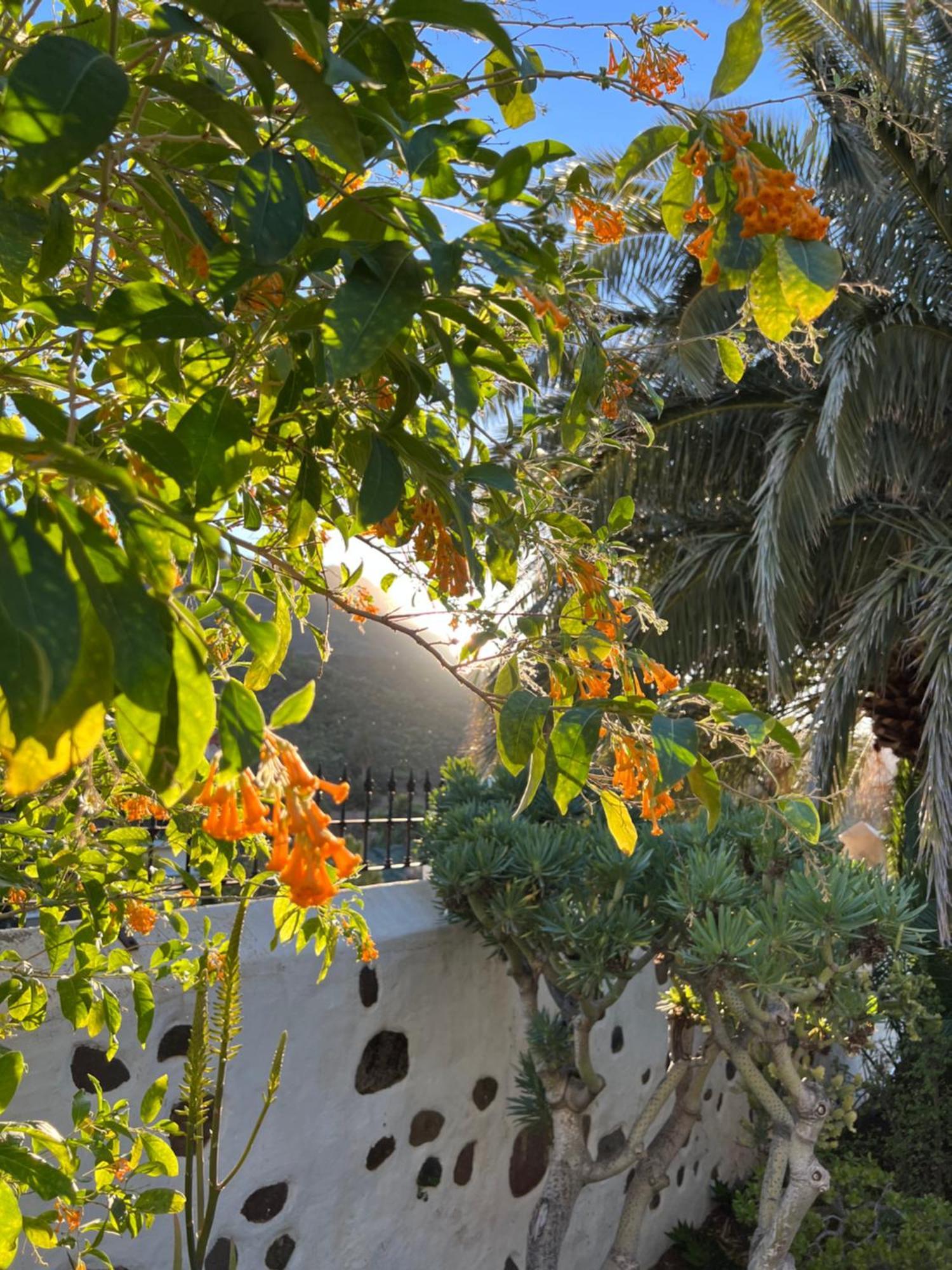 Finca Exclusiv La Mareta Agaete  Ngoại thất bức ảnh