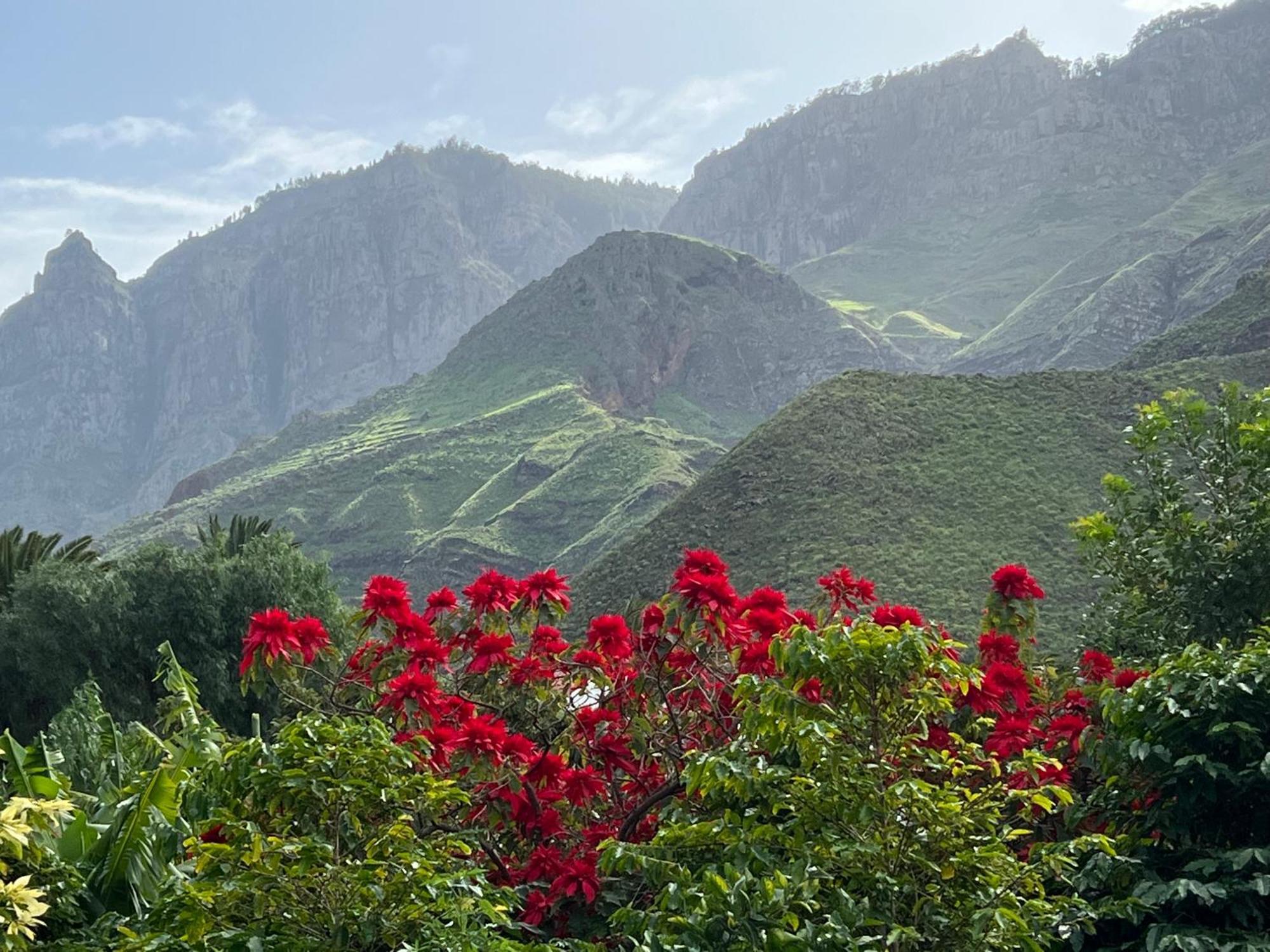 Finca Exclusiv La Mareta Agaete  Ngoại thất bức ảnh